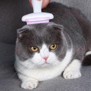 [티티펫] 고양이 다용도 털관리 브러쉬 (핑크)