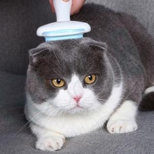 [티티펫] 고양이 다용도 털관리 브러쉬 (블루)