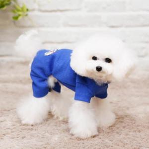 【매장】[펫디자인]골지반팔올인원(블루)