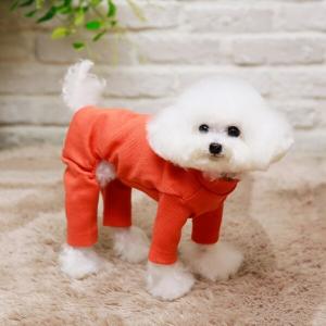 펫디자인 무지골지올인원
