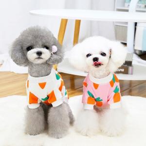 【매장】[티티펫] 당근 라운드넥 면 티셔츠 (화이트) S