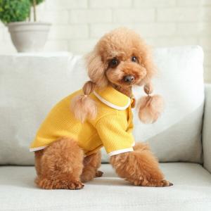 【매장】골지 니트 가디건 강아지 겨울 아우터