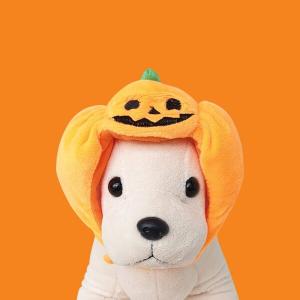 【매장】호박 모자 강아지 할로윈 코스튬