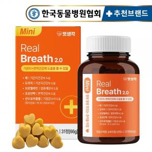 [펫생각] 강아지 기관지 영양제 66g 31정 (1개월분)