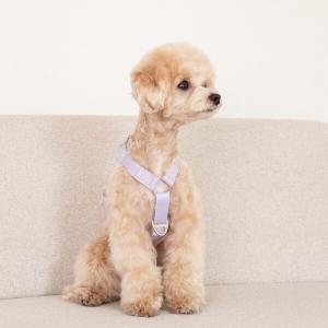 [매장] 요기쏘 마이독 앞섬방지 H형 하네스