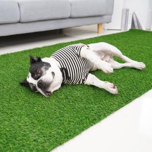 [레드퍼피] 가정용 카페 인조잔디