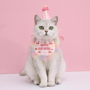 【매장】도그웨그 생일 꼬깔 모자 케이프 세트 강아지 고양이 생일파티 악세사리