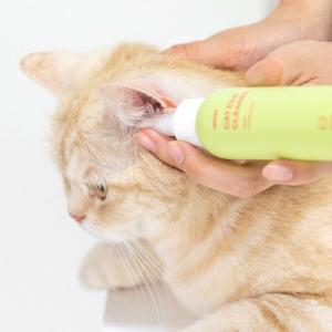 [이눔]캣 귀세정제 100ml