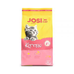 【매장】[요세라]요시캣 키튼 1.9kg