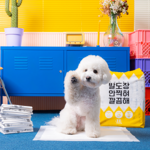 개님의패드 강아지 배변패드 중형 45x60cm 1팩 총 70매