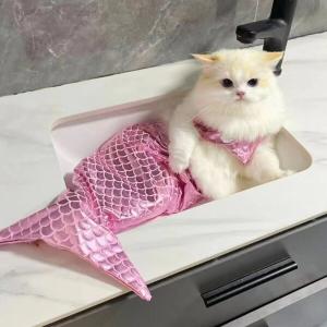 【매장】도그웨그 인어공주 코스튬 비키니 옷 머리띠 세트 강아지 할로윈 고양이 코스프레 파티 의상