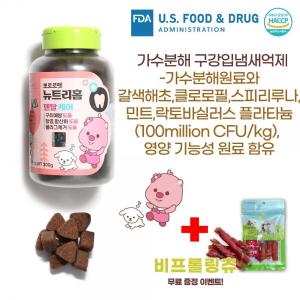 뽀로로 뉴트리홈 덴탈케어/강아지 영양제 에이케이사이언스 국내제조