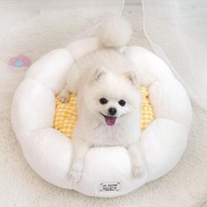 패리스독 블라썸베드 화이트만