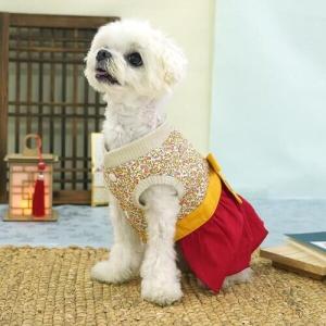 [ParisDog] 해피걸즈 한복