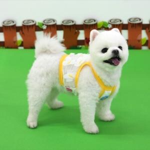 패리스독 나비크롭티셔츠  (6장 한셋트 S1 M2 L2 XL1 )