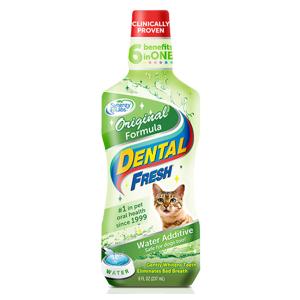 덴탈 후레쉬 캣 오리지널 236ml