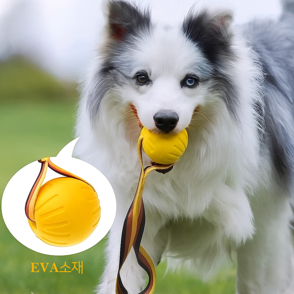 [레드퍼피] 트롤볼장난감