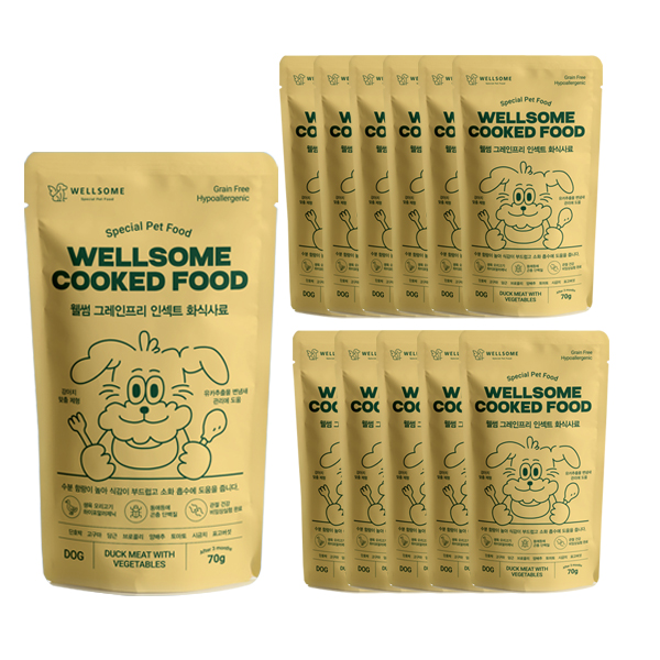 웰썸 강아지 습식사료 오리맛 70g