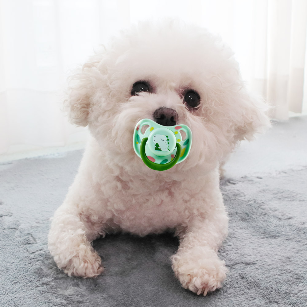 딩동펫 강아지 베이비 쪽쪽이 치발기