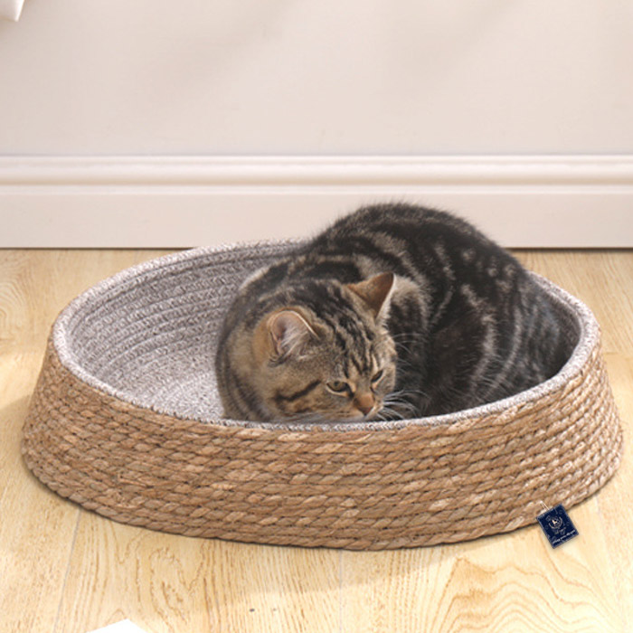 딩동펫 반려동물 고양이 버드나무 둥지하우스