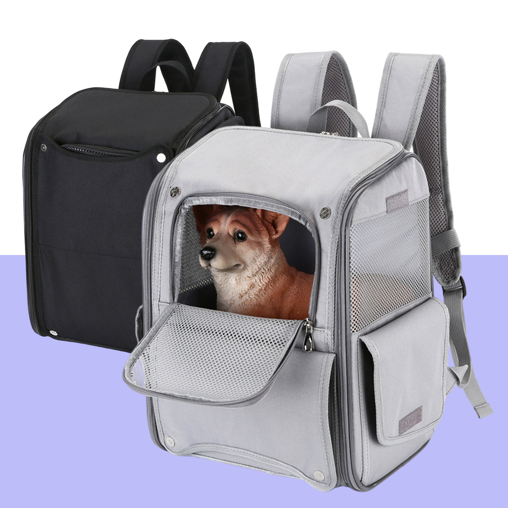 [레드퍼피] 라이언 백팩