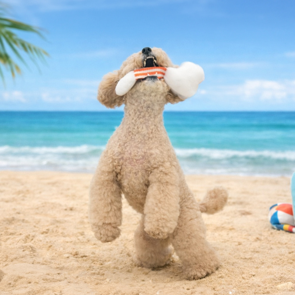 [피너츠] 비치바이브스트링토이 [1팩단위] 5ea