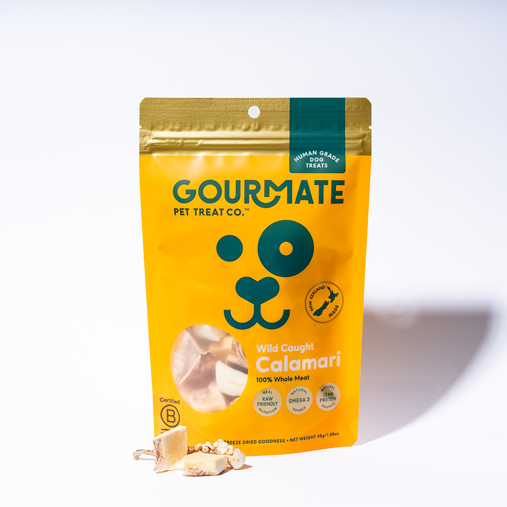 [고메이트] 빅바이트 자연산 오징어 45g