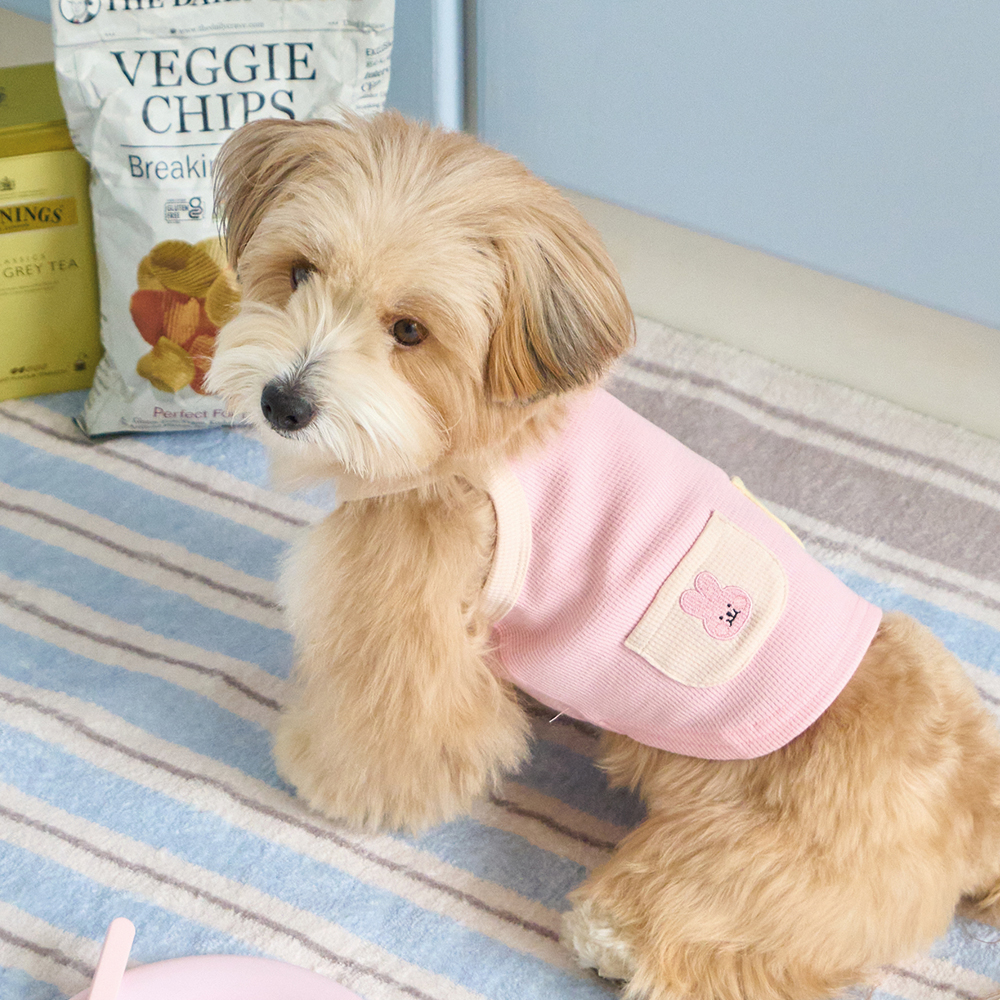 베니즈 팔레트 크롭 탑 핑크 S-XL