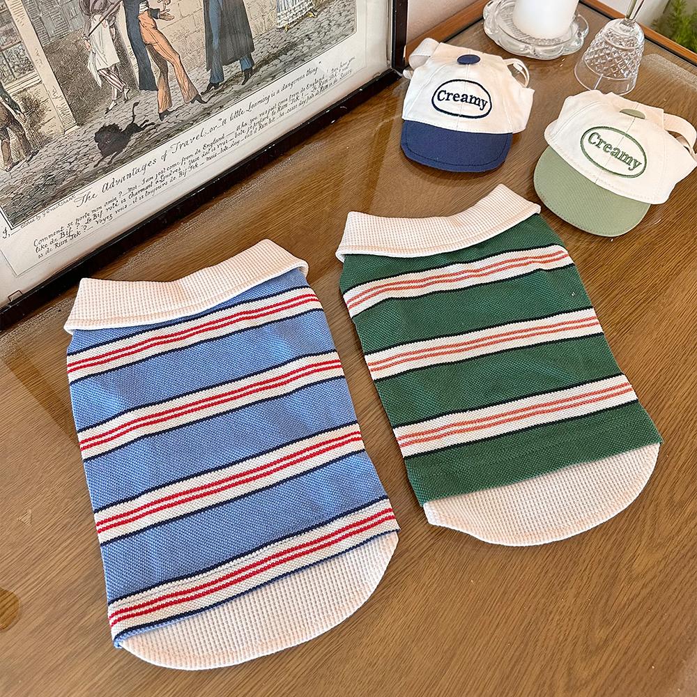 [패션독]  데일리PK카라티