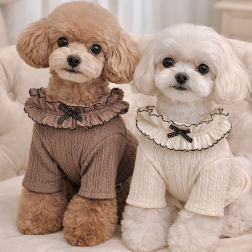 [215H] 라떼프릴티(바닐라)