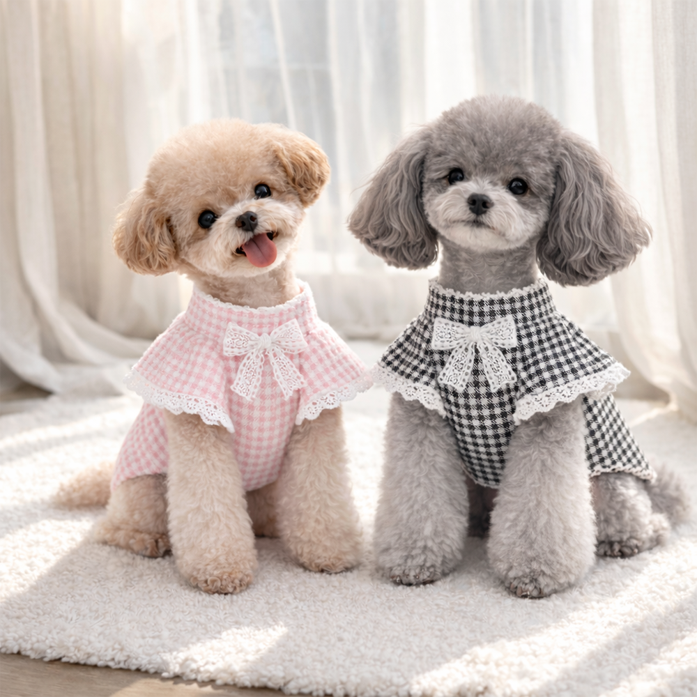 [패션독]  로맨틱나팔티