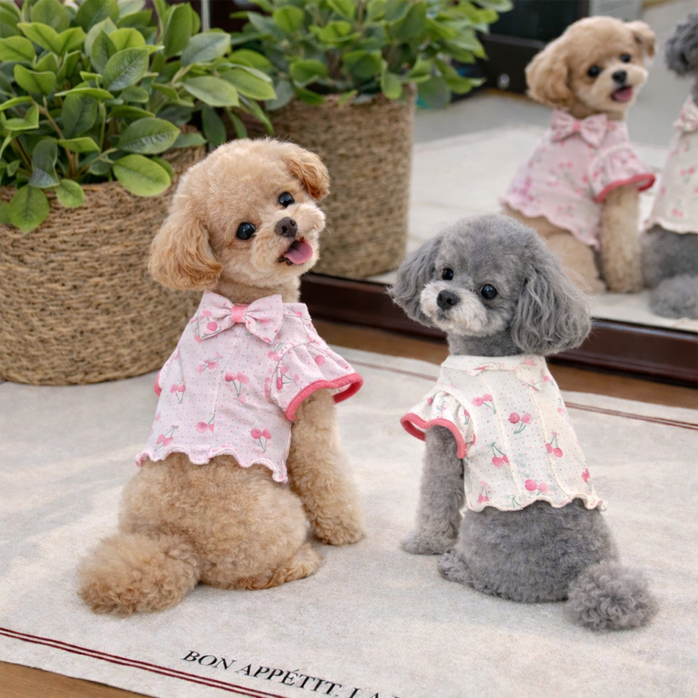 [패션독]  체리블러썸티