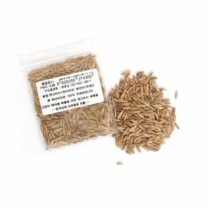 【매장】[펫모닝/PMC-236] 100% 국내산 귀리씨앗(12g)