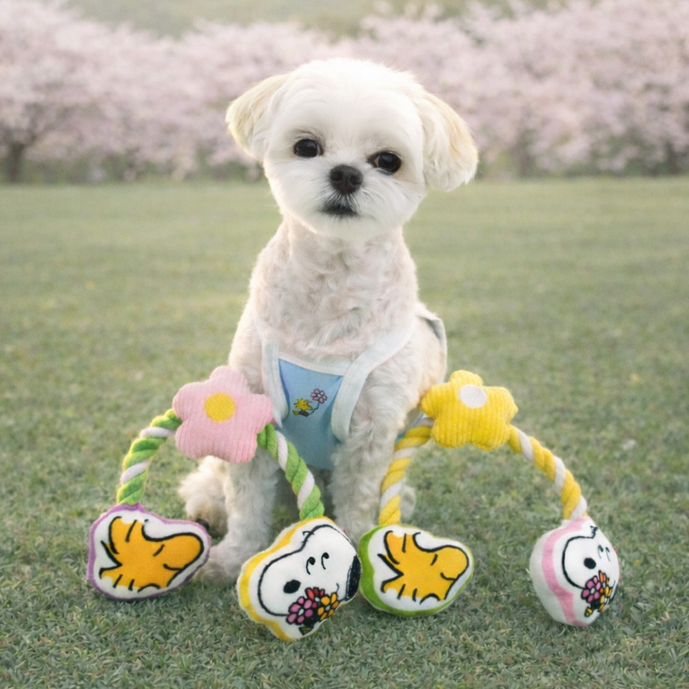 [피너츠] 플라워토이 [한팩5ea][box=60]