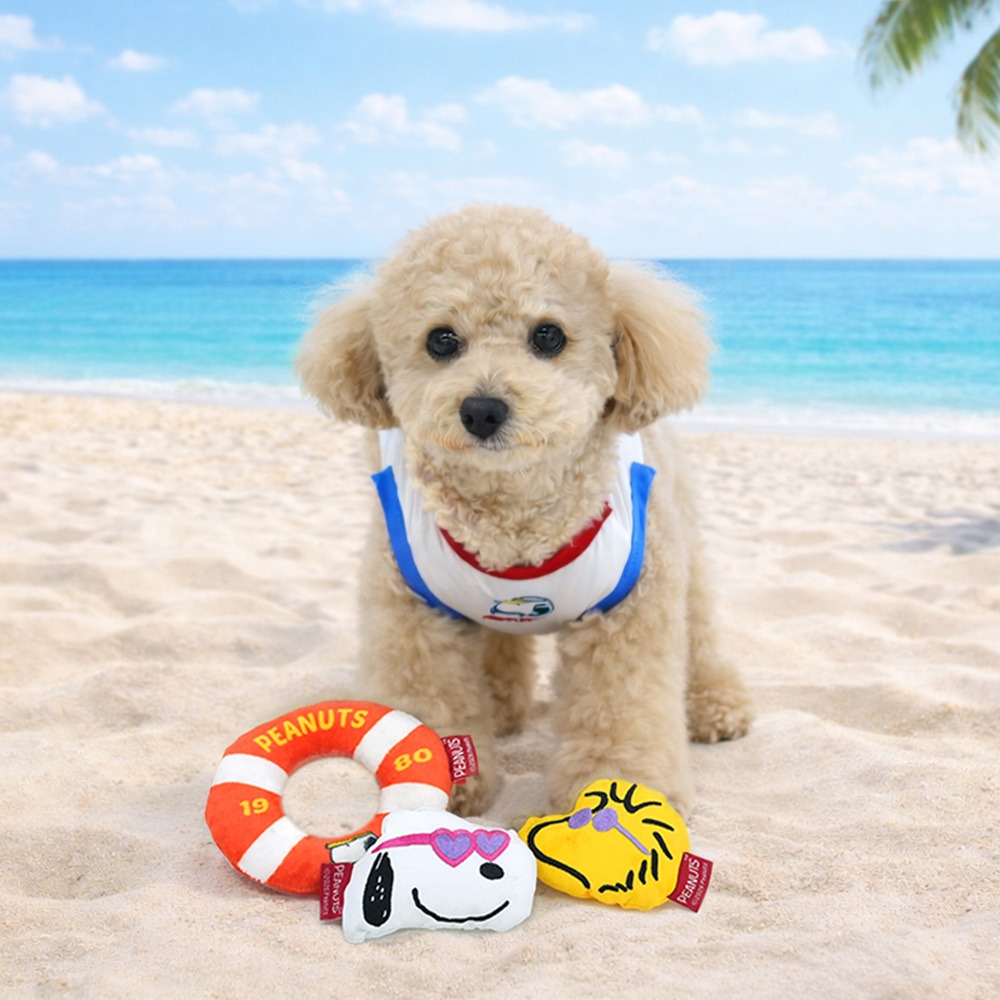 [피너츠] 썸머스포츠토이세트 [한팩5ea][box=50]