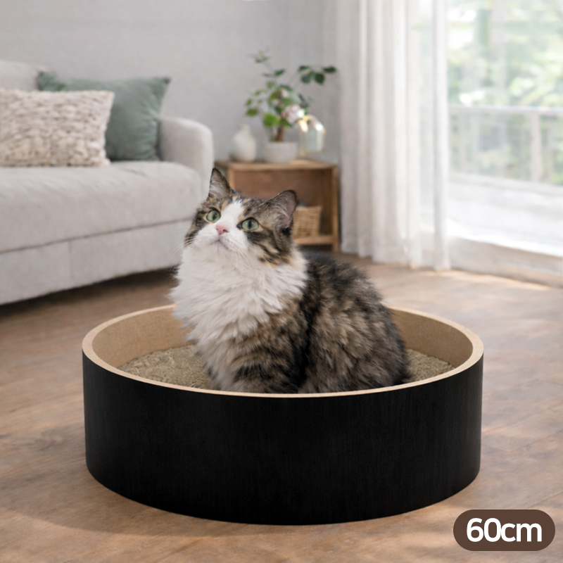 힐링타임 띵가띵가 스크래쳐 (점보사이즈) 블랙