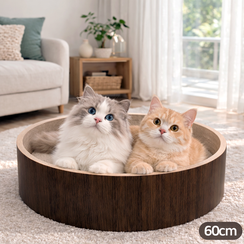 힐링타임 띵가띵가 스크래쳐 (점보사이즈) 브라운