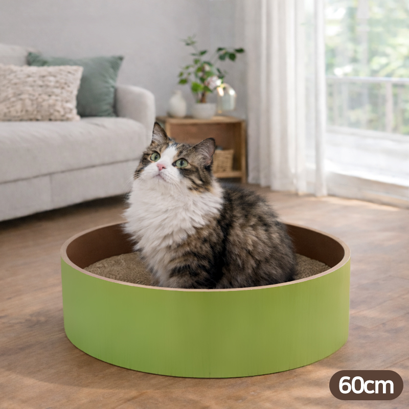 힐링타임 띵가띵가 스크래쳐 (점보사이즈) 올리브