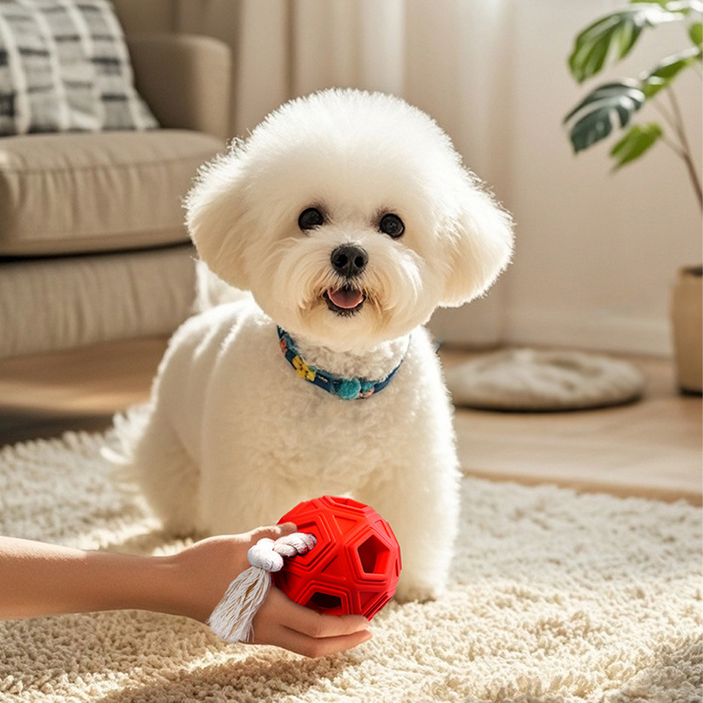 [레드퍼피] 펜타곤 터그놀이공