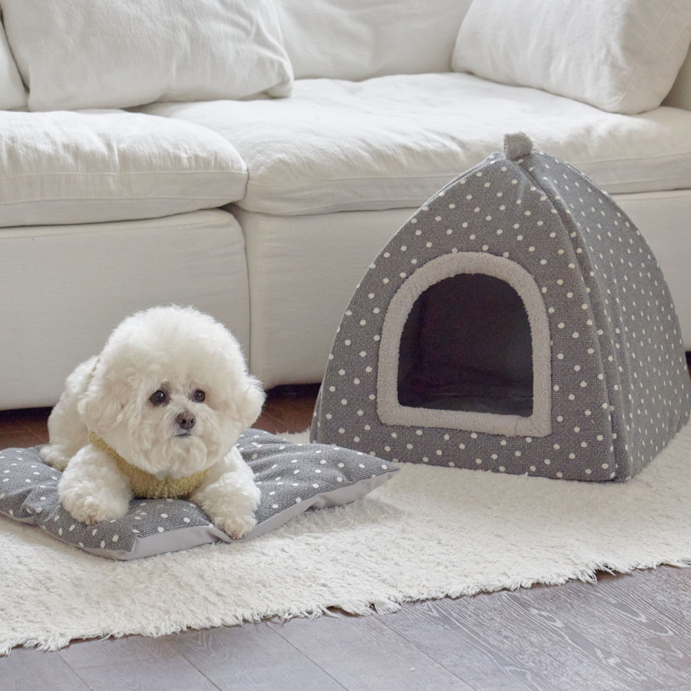 [레드퍼피] 브리진하우스