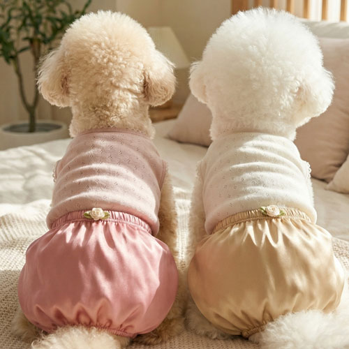 [215H] 궁디빤쭈올인원(골드)