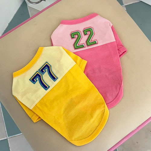 [21DH] 숫자배색티(옐로우)