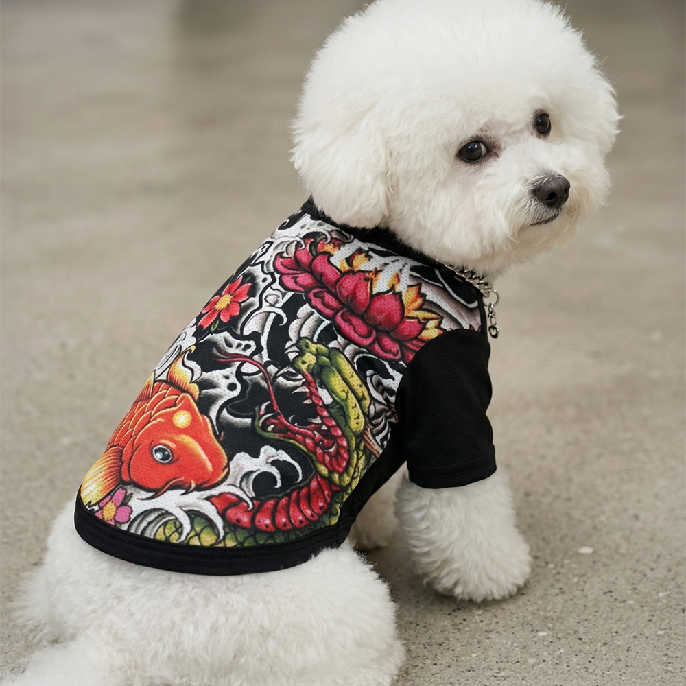 [패션독]  힙스터쿨티셔츠