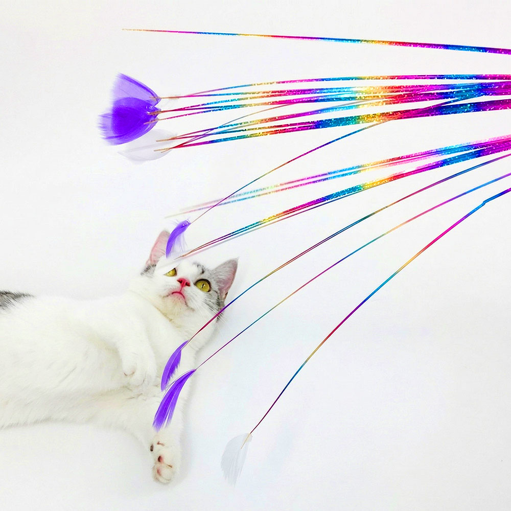 크레용펫 1타15피 무지개 카샤카샤 낚시대 스틱