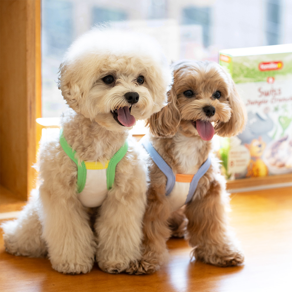 펫츠랜드 캔디팝티셔츠 2color S-2XL