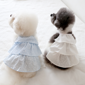 펫츠랜드 블루밍 캉캉 원피스 2color S-2XL