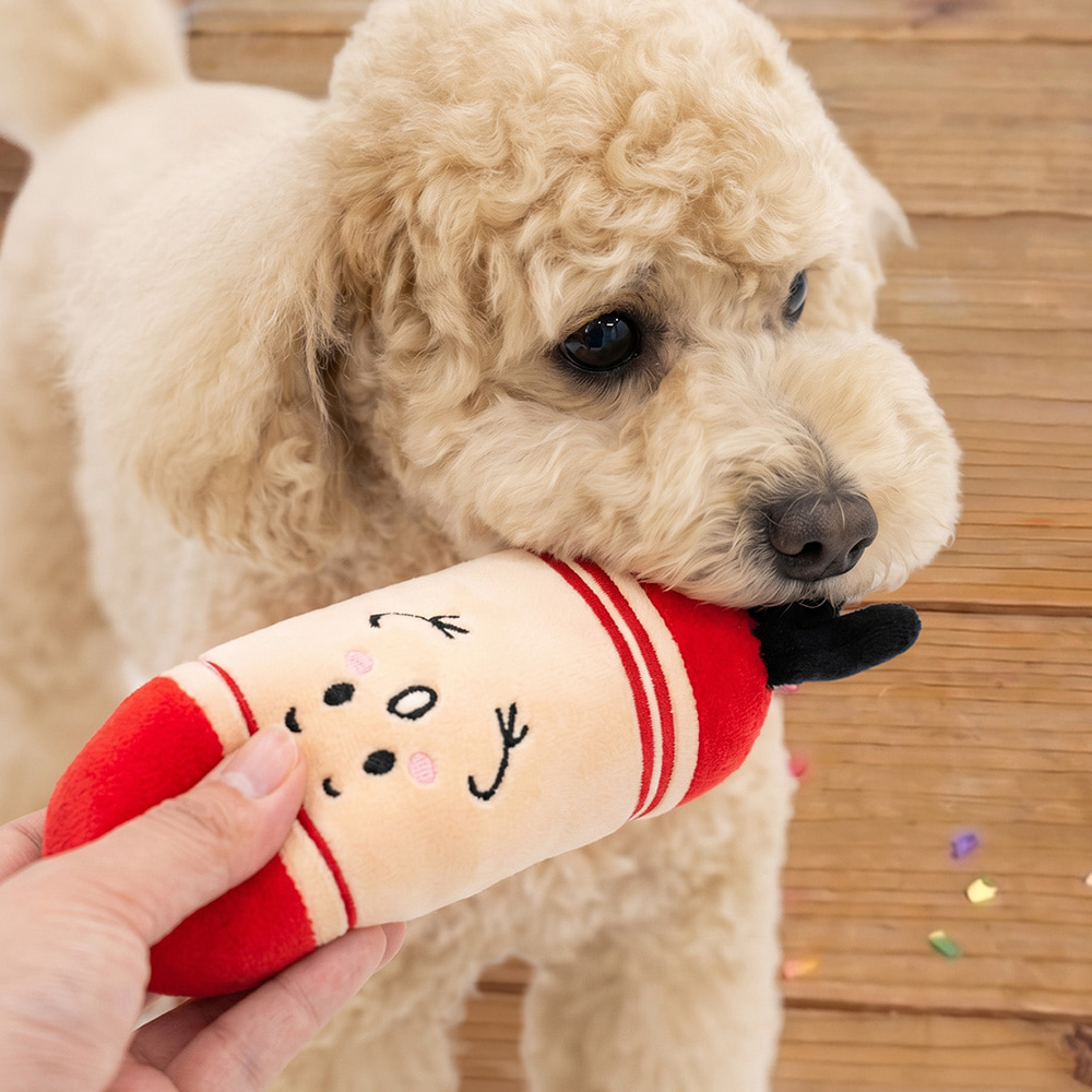 [패리스독] 크레용토이 [1팩3ea]