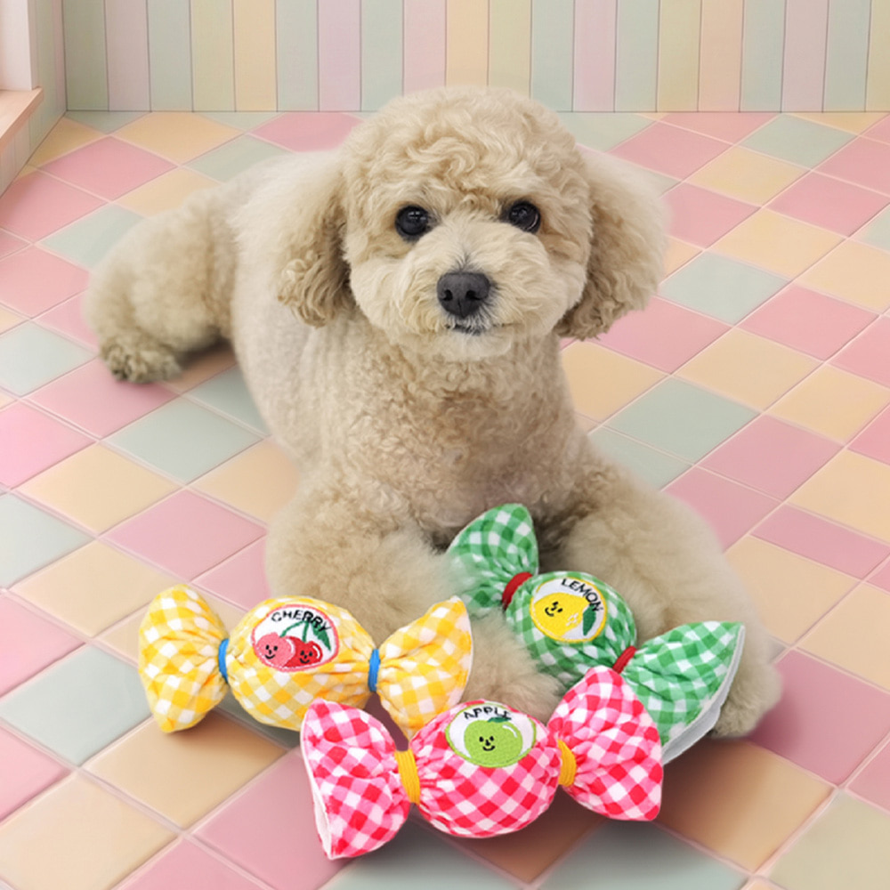 [패리스독] 과일캔디볼토이 [1팩3ea]