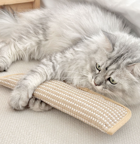 [바바펫] 대형 캣닢 장난감 쿠션 베개