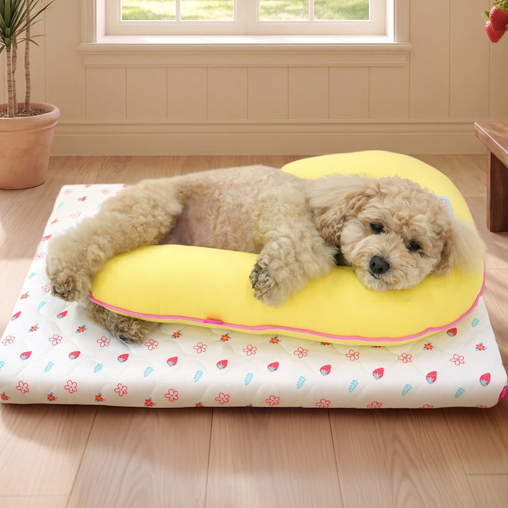 [패리스독] 스트로베리쿨베딩세트